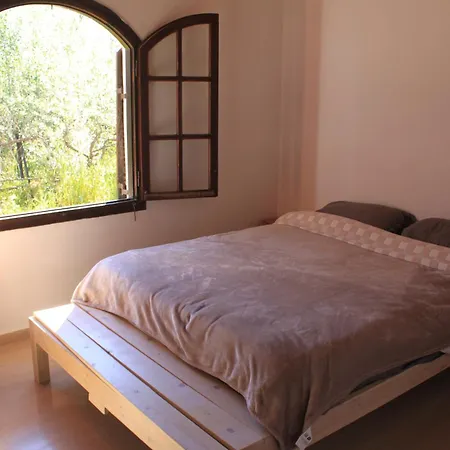 Apartament Zeus Greekgod *