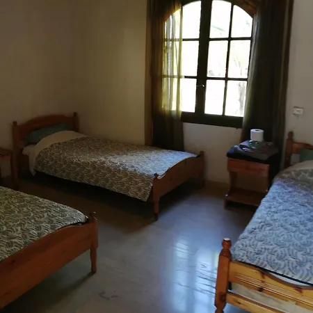 Zeus Greekgod Sidárion